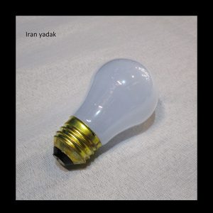 لامپ 110 ولت امریکایی ساید بای ساید